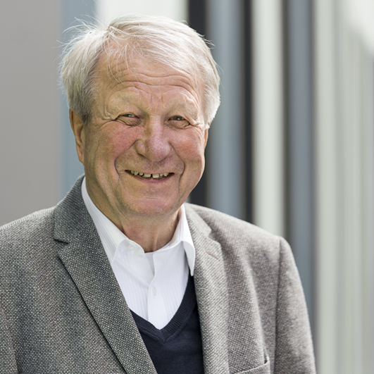 Rechtsanwalt Dr. Hilmar Hanelt